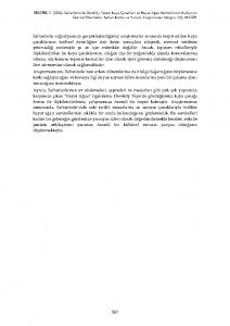 6 KAYA ÇANAKLARI 493-509 (1)_Page17